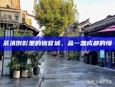 茶汤倒影里的锦官城，品一盏成都的慢