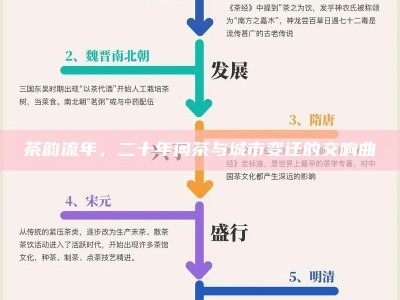 茶韵流年，二十年间茶与城市变迁的交响曲