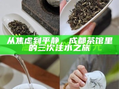 从焦虑到平静，成都茶馆里的三次注水之旅