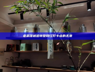 老茶馆被迫转型网红打卡点的无奈