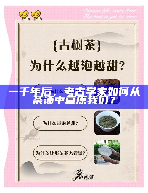 一千年后，考古学家如何从茶渍中复原我们？