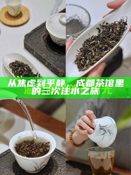 从焦虑到平静，成都茶馆里的三次注水之旅