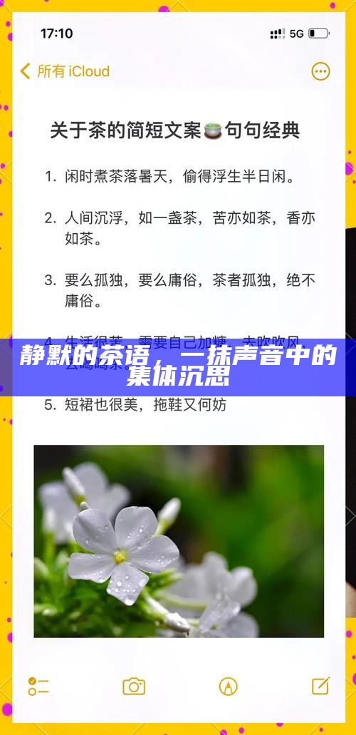 静默的茶语，一抹声音中的集体沉思