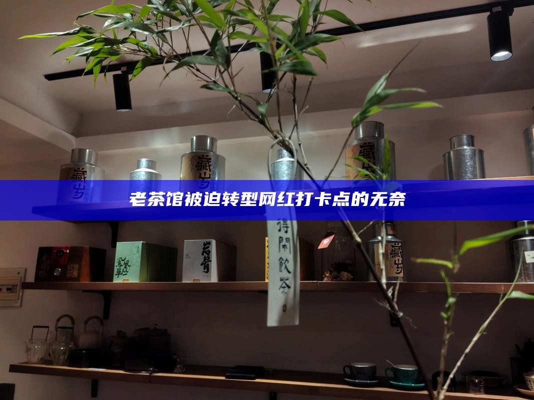 老茶馆被迫转型网红打卡点的无奈